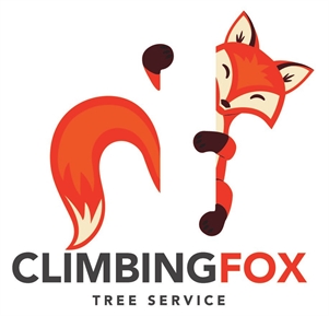 Staff Climbing Arborist – Join Our Amazing Team in Victoria, BC