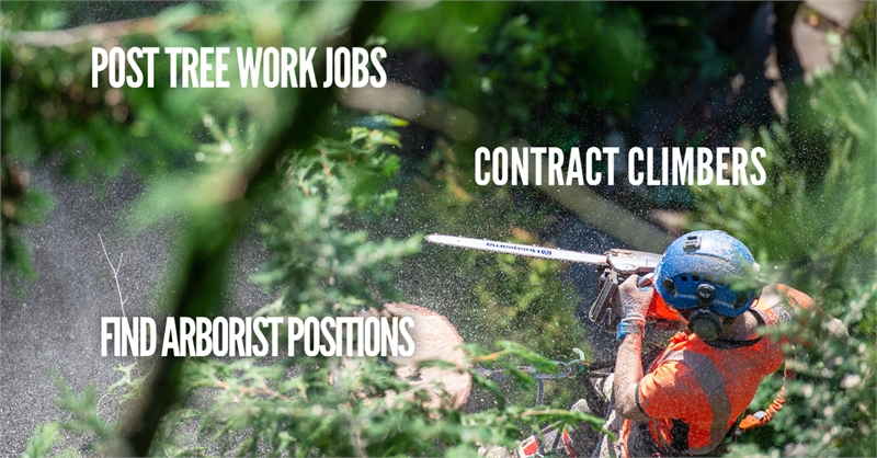 Climbing Arborist Jobs
