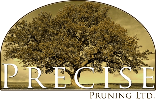 Precise Pruning Ltd Kathy-Lynn Vopni